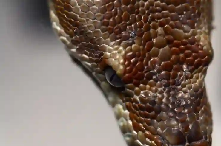 아나콘다 파이썬 프로그래밍 PYTHON 주피터노트북 설치 다운로드