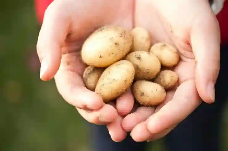 알집과 반디집으로 EGG 압축 쉽게 풀기 비법 공개