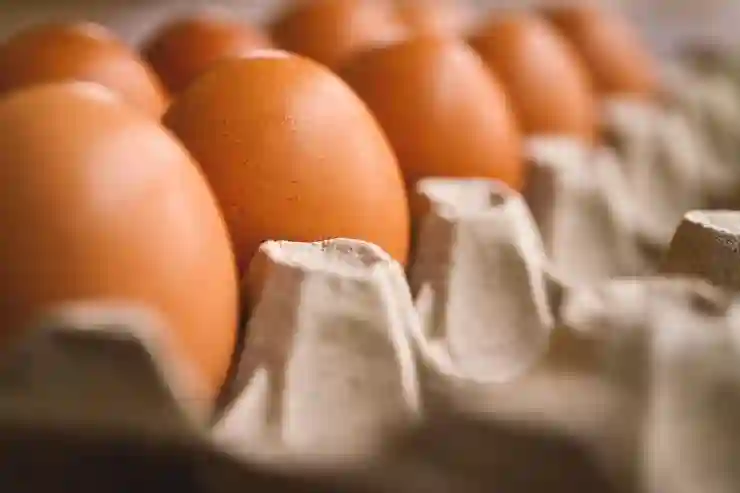 알집으로 EGG 파일 압축 풀기, 쉽고 간단한 방법 알아보기