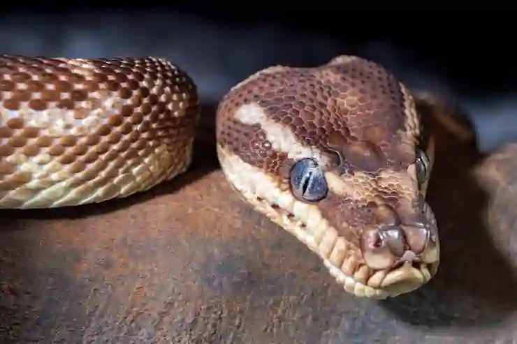 파이썬 PYTHON 프로그래밍 아나콘다 주피터노트북 설치 하는법