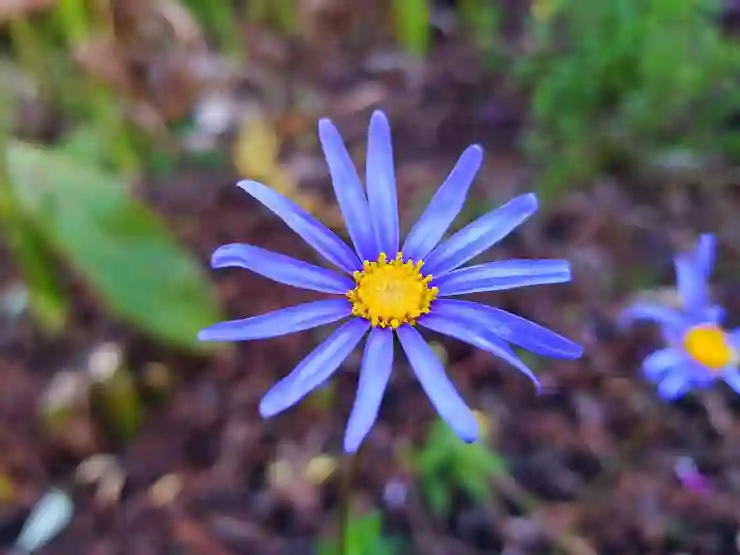 갤럭시 S23 FE 사용 후기와 숨겨진 매력 알아보기
