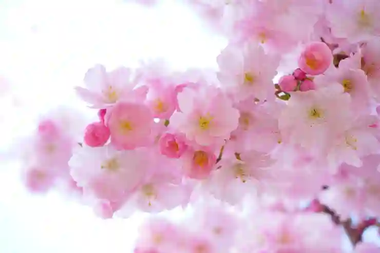넷플릭스 요금제 인상 대비 스마트한 절약 방법 알아보기