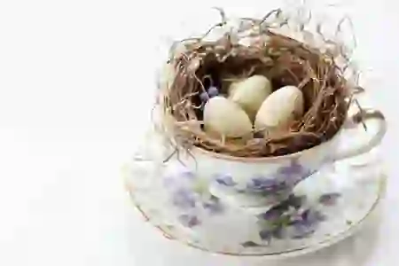 유튜브 프리미엄 저렴하게 갱신하는 꿀팁 살펴보기