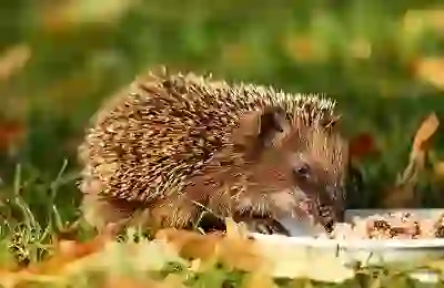 갤럭시 빅스비 음성 인식 끄기 : 버튼 설정 법