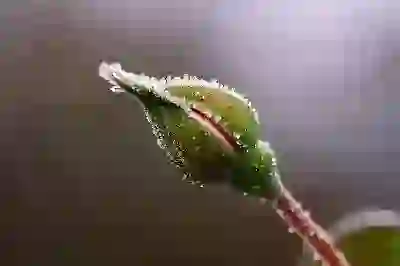 갤럭시탭 S7 FE s7+ 플러스 필기용태블릿 비교 분석