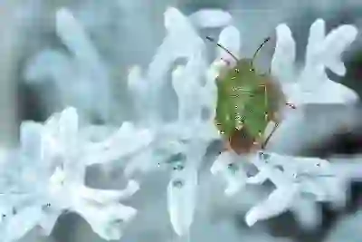 아이폰13 가격 색상 핑크 그린 블랙 시에라블루 실버 스펙 크기