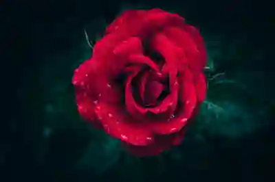 인스타 위치등록 방법 : 인스타그램 장소 추가하기