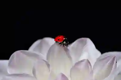 계약만료와 자진퇴사로 인한 실업급여 판별하기 위한 4가지 방법