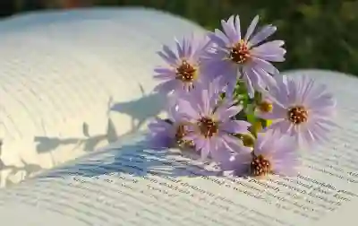 실업급여 신청 절차 완벽 가이드 알아보자