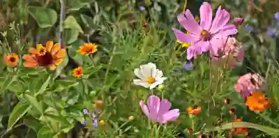 위챗 계정 차단 해제하는 방법 살펴보기