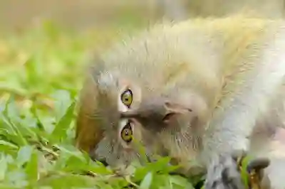 위챗 통화 인증 성공률 높이는 꿀팁 알아보자