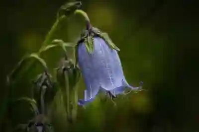 인비디오 AI의 한국어 음성 지원 여부 알아보자