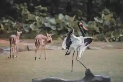 인스타그램 계정 삭제와 비활성화의 차이 알아보자