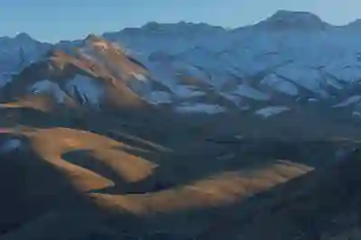 바이오시밀러 관련주 급등 이유와 투자 포인트 알아보자