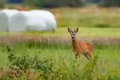 요기요 계정 삭제와 재가입 방법 알아보자