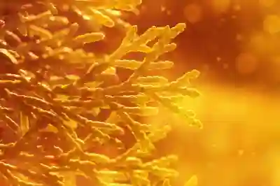 우크라이나 재건 관련주 HD현대인프라코어와 현대건설 투자 분석과 주가 전망 살펴보기