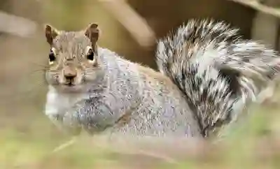 고수익 집부업 알바 추천과 주의사항 살펴보기