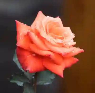 쿠팡 알바 지원 꿀팁 알아보자