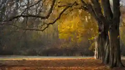 교사 월급 수당 호봉제 변화 살펴보자