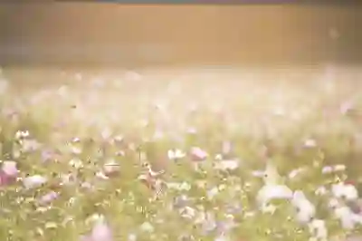 고려치과병원 임플란트와 크라운 비용 알아보자