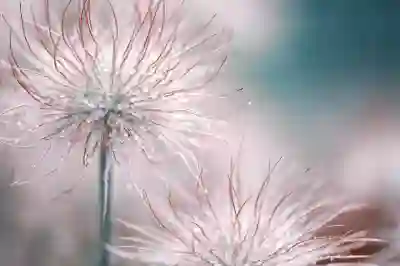 한샘 고객센터 이용방법과 A/S 예약 꿀팁 알아보자