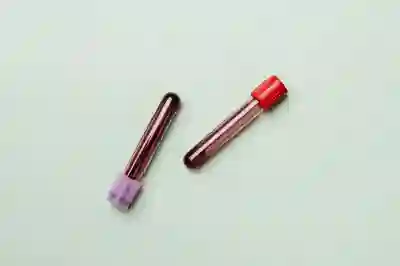 직업적성검사 추천 사이트와 카테고리별 비교 가이드 살펴보기