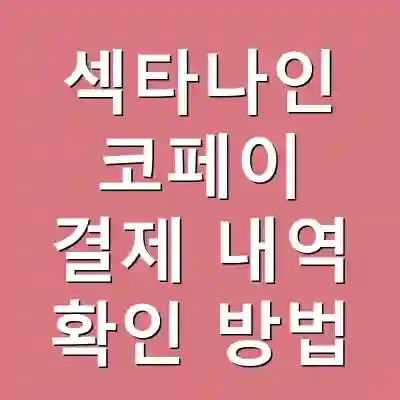 섹타나인 코페이 결제 내역 확인 방법
